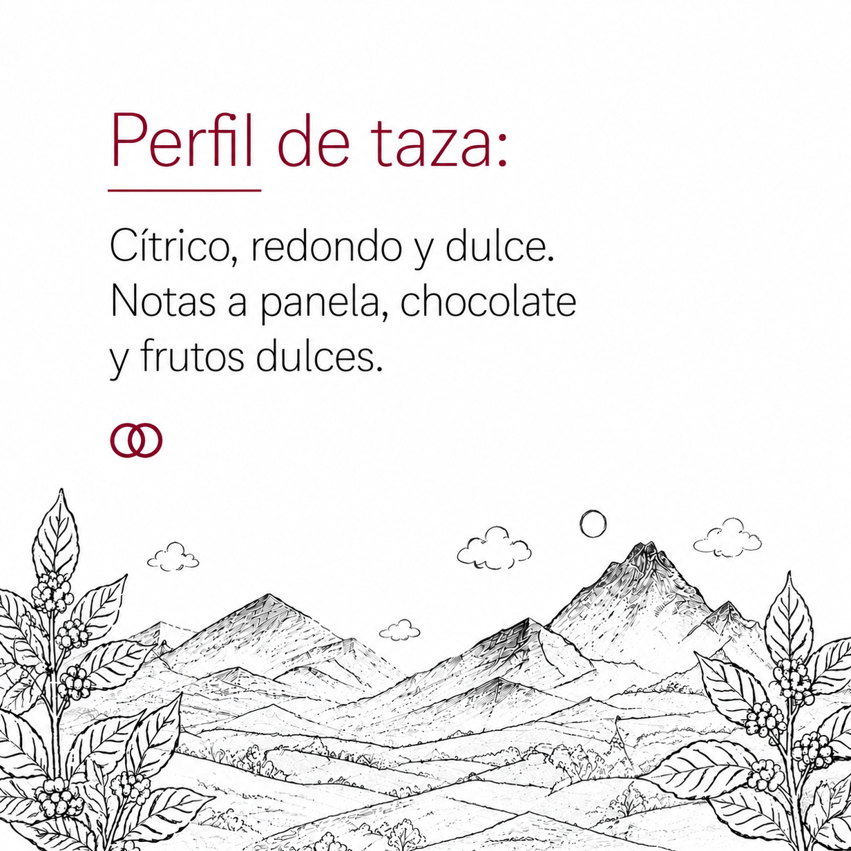 PRE -VENTA: Café Gran Natural